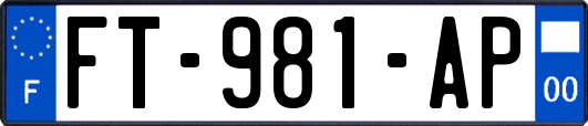 FT-981-AP