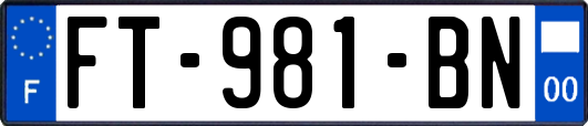 FT-981-BN