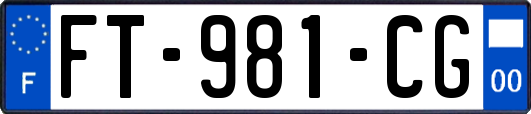 FT-981-CG