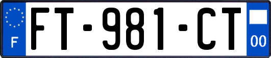 FT-981-CT