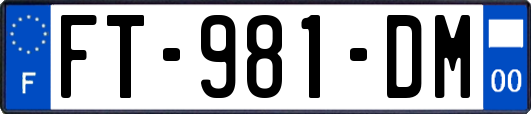 FT-981-DM