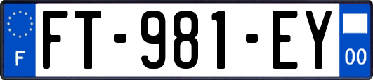 FT-981-EY