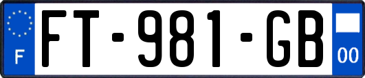 FT-981-GB