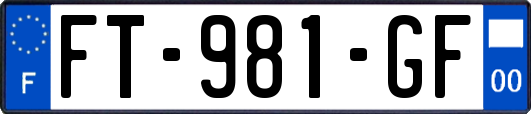 FT-981-GF