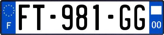 FT-981-GG