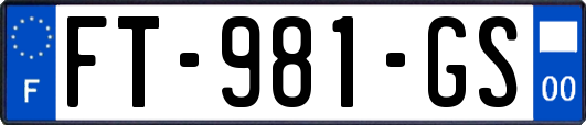 FT-981-GS