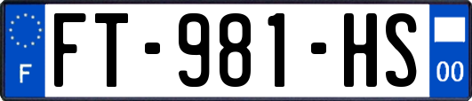 FT-981-HS