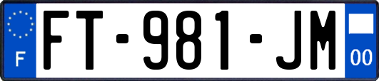 FT-981-JM
