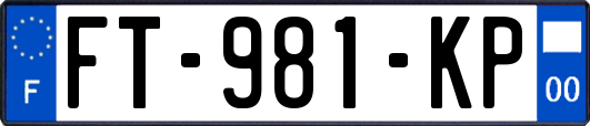 FT-981-KP