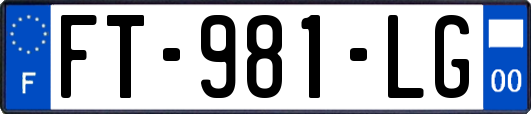 FT-981-LG