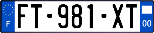 FT-981-XT