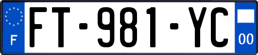 FT-981-YC