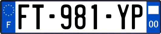 FT-981-YP
