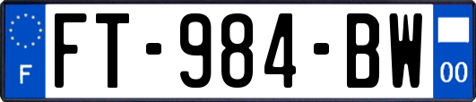 FT-984-BW