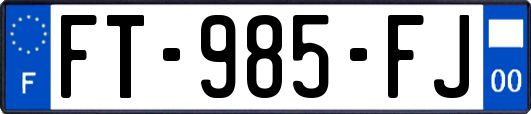 FT-985-FJ