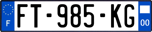 FT-985-KG