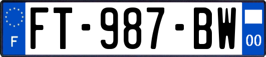 FT-987-BW