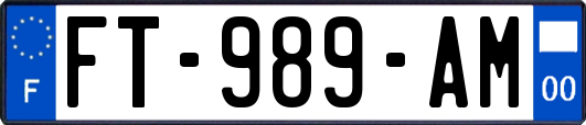 FT-989-AM