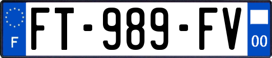FT-989-FV