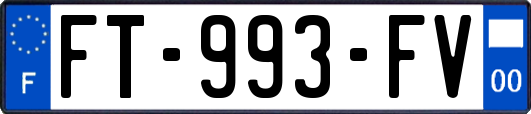 FT-993-FV