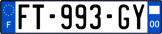FT-993-GY