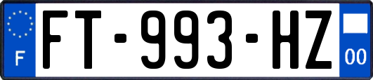 FT-993-HZ