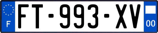 FT-993-XV