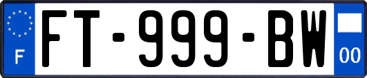 FT-999-BW