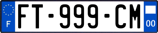 FT-999-CM