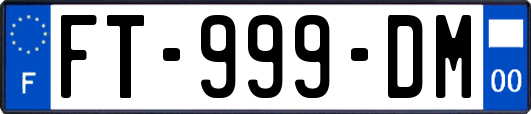 FT-999-DM