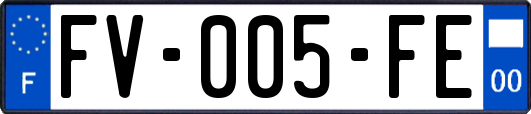 FV-005-FE
