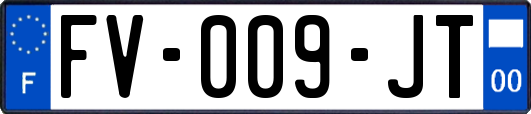 FV-009-JT