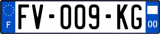 FV-009-KG