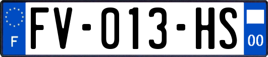 FV-013-HS