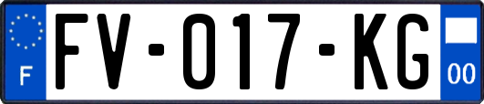 FV-017-KG