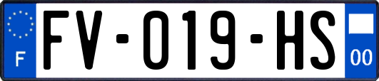 FV-019-HS