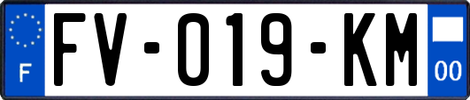 FV-019-KM