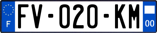 FV-020-KM