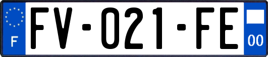 FV-021-FE