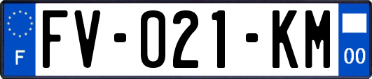 FV-021-KM