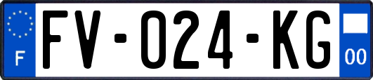 FV-024-KG