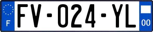FV-024-YL