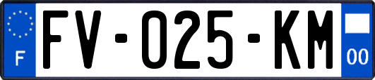 FV-025-KM