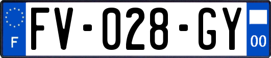 FV-028-GY