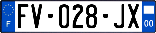 FV-028-JX