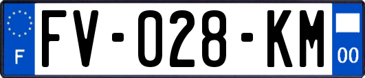 FV-028-KM