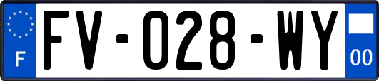 FV-028-WY