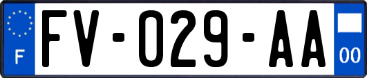 FV-029-AA