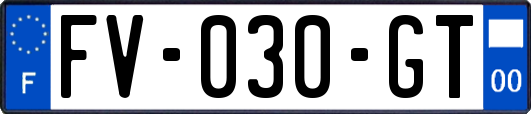 FV-030-GT