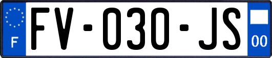 FV-030-JS